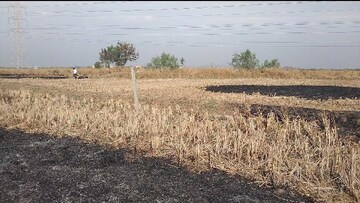 Plot For Resale in Ranjanpada Navi Mumbai  8372707