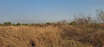 Plot Area in  Plot at Ranjanpada – for Sale
