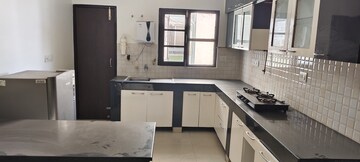 Kitchen in 3 BHK Apartment at Alaknanda Apartment Gomti Nagar, Gomti Nagar – for Rent