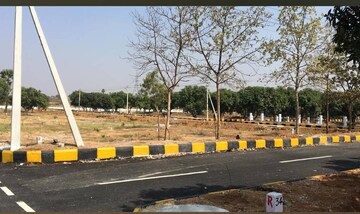 Commercial Land 310 Sq.Yd. For Resale in Shankarpalli Hyderabad  8372858