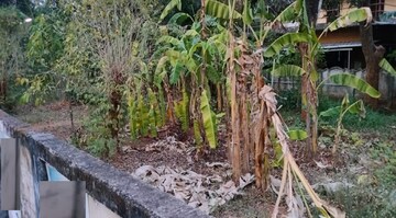 Plot Area in  Plot at Cheroor – for Sale