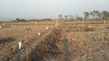 Plot Area in  Plot at Dighode – for Sale