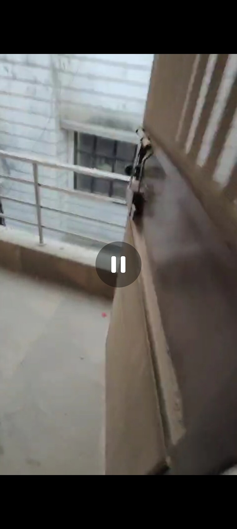 undefined, burari 2 Bedroom 65 Sq.Yd. Builder Floor In Burari Delhi 8374159