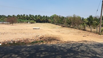 Plot Area in  Land at Neelambur – for Sale