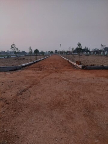  Plot For Sale in Sector 80