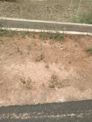  Plot – Exterior View View at Sector 145 - for Sale