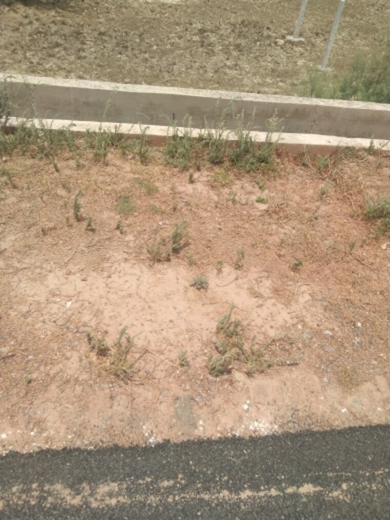 Exterior View, sector 145  160 Sq.Mt. Plot In Sector 145 Noida 8375502