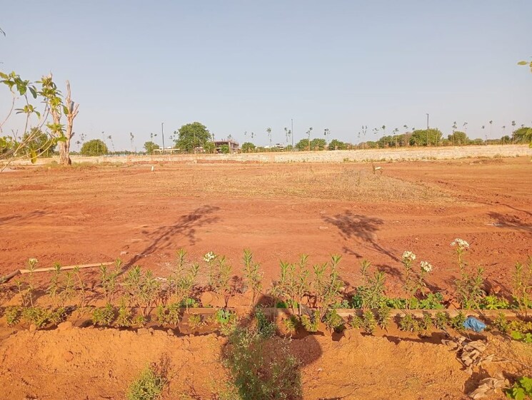 undefined, shamshabad  500 Sq.Yd. Plot In Shamshabad Hyderabad 8371973