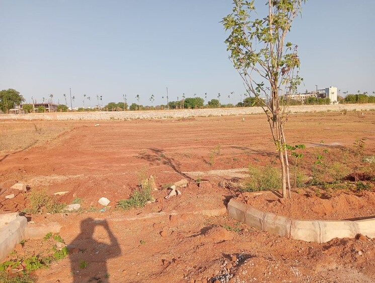 undefined, shamshabad  500 Sq.Yd. Plot In Shamshabad Hyderabad 8371973