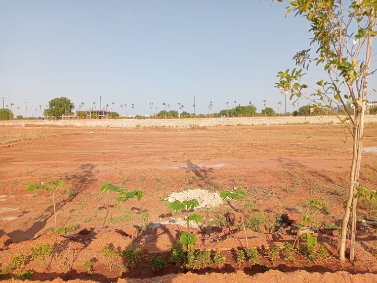 undefined, shamshabad  500 Sq.Yd. Plot In Shamshabad Hyderabad 8371973