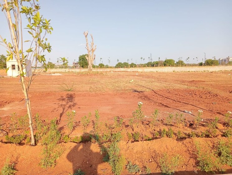 undefined, shamshabad  500 Sq.Yd. Plot In Shamshabad Hyderabad 8371973