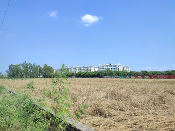  Land For Rent in Devanahalli
