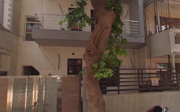 6+ BHK Independent House For Sale in Sushant Lok ii