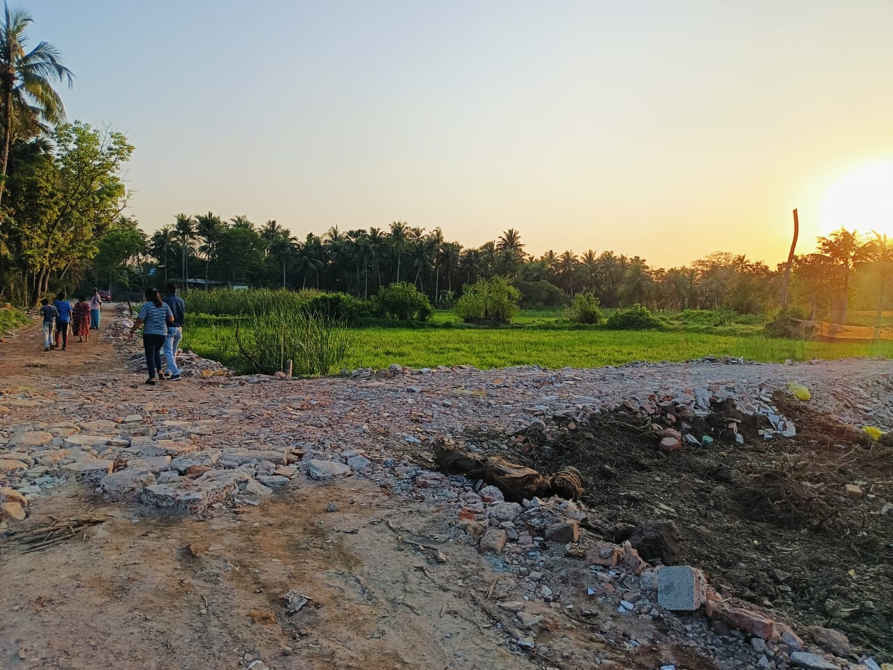 Plot For Sale in Nest Valley