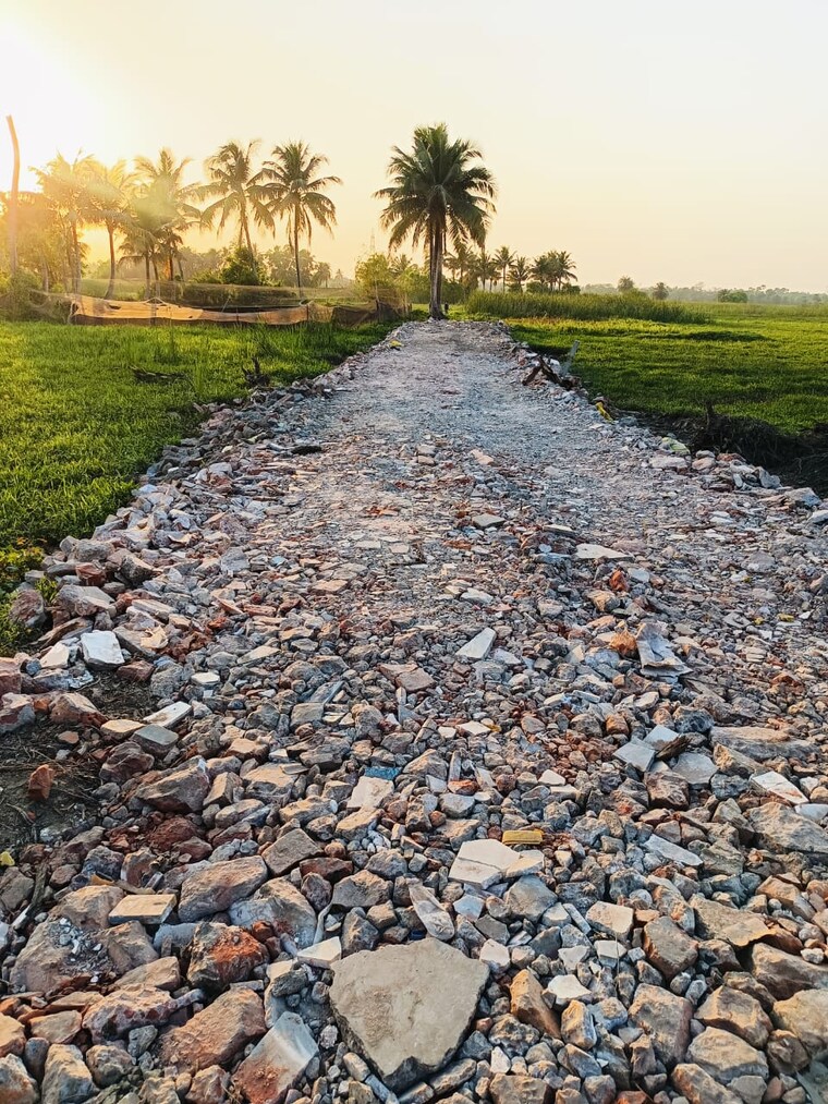 Exterior View, diamond harbour  2160 Sq.Ft. Plot In Diamond Harbour Kolkata 8375897