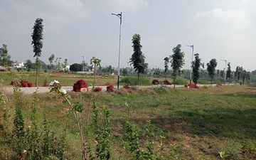 Plot For Sale in Sector 77