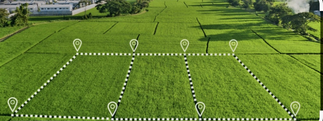 Plot For Sale in Best City Layout