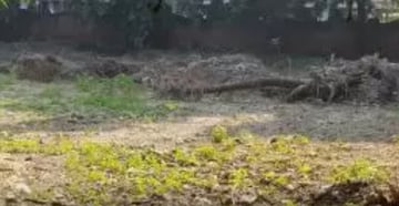  Plot For Sale in Hazratganj
