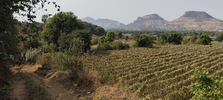 Exterior View, igatpuri  47 Acre Plot In Igatpuri Nashik 8376824