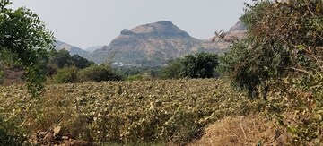  Plot For Sale in Igatpuri