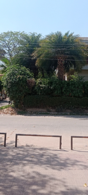 Plot For Sale in Sector 21A