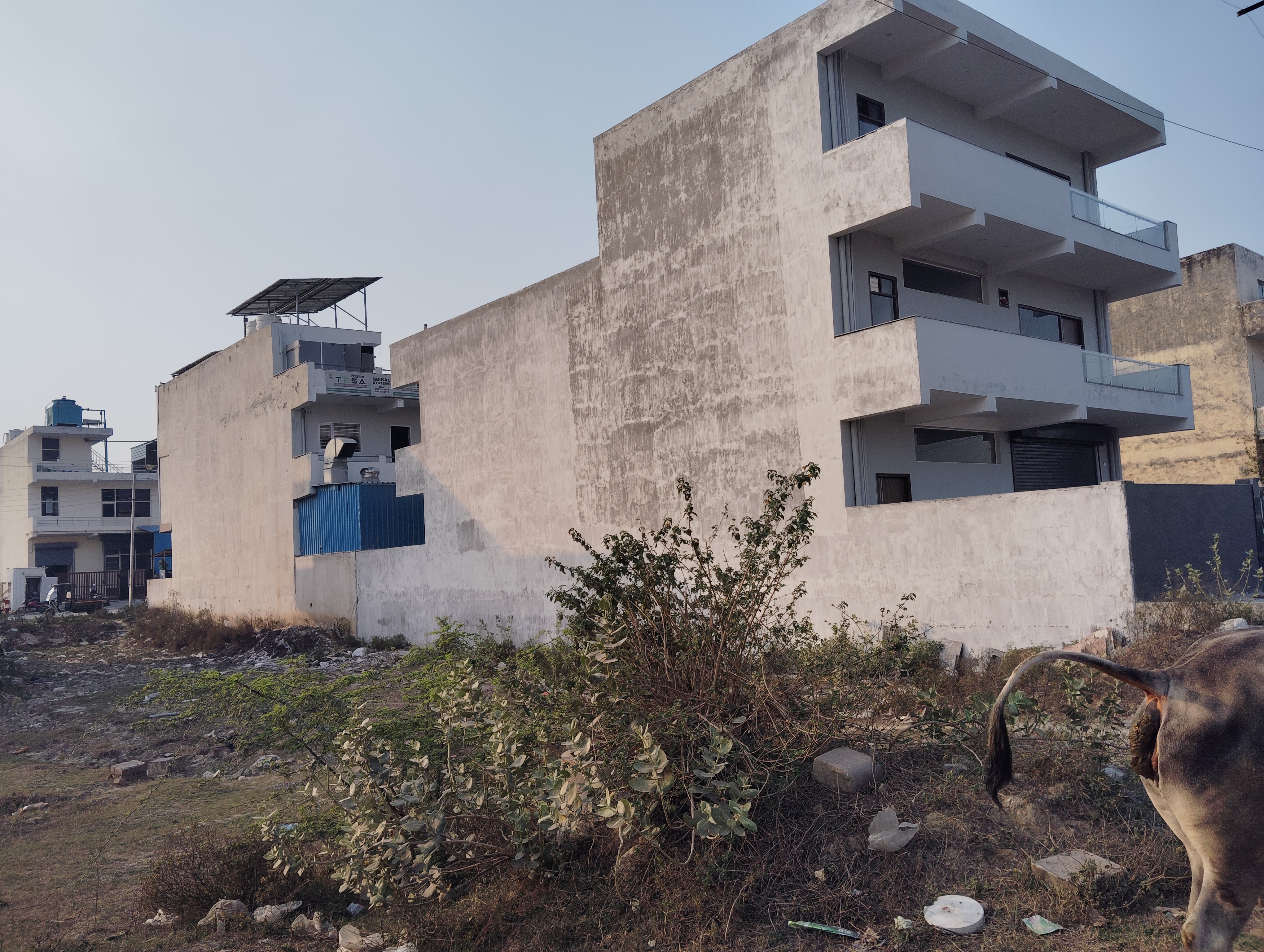 Plot For Sale in Bukharpur Village