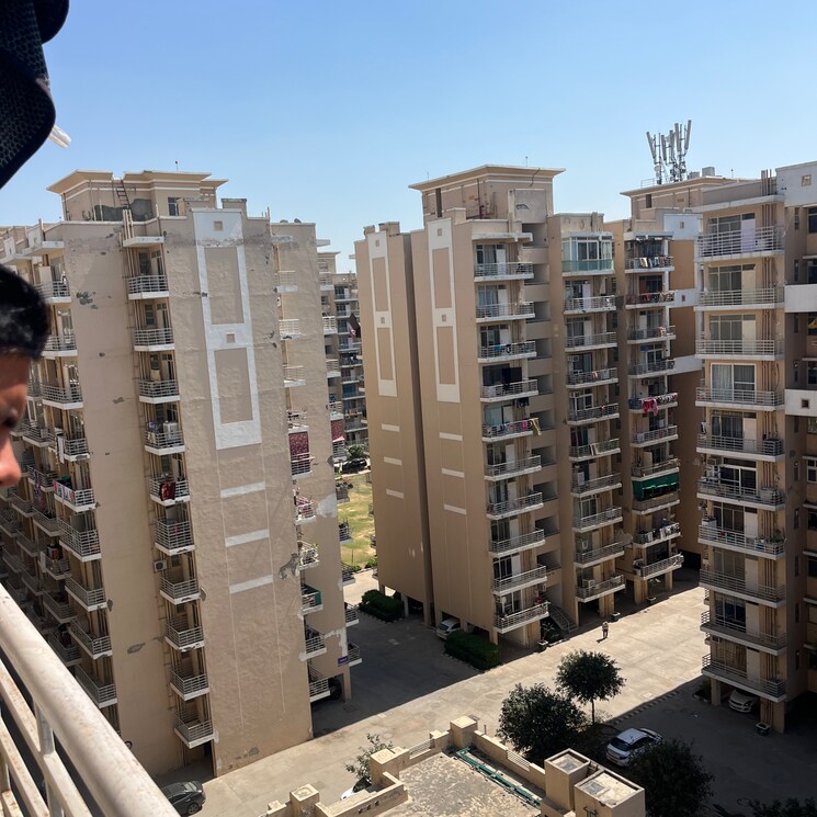 Exterior View, signature-the-serenas 2 Bedroom 531 Sq.Ft. Apartment In Sohna Sector 33 Gurgaon 8376578