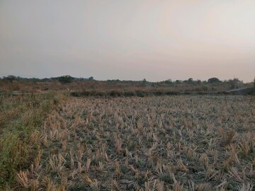  Plot For Sale in Dighode