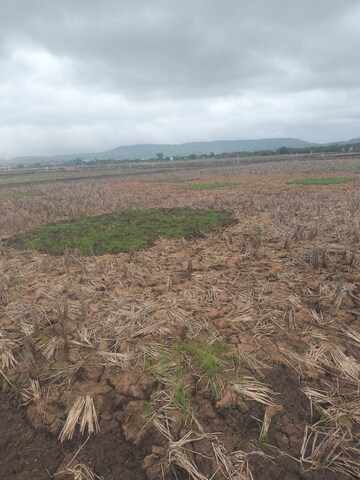  Plot – Exterior View View at Dighode - for Sale