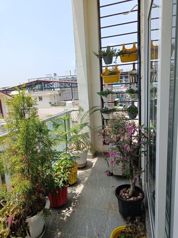 Balcony in 2 BHK Builder Floor at Sahastradhara Road – for Rent