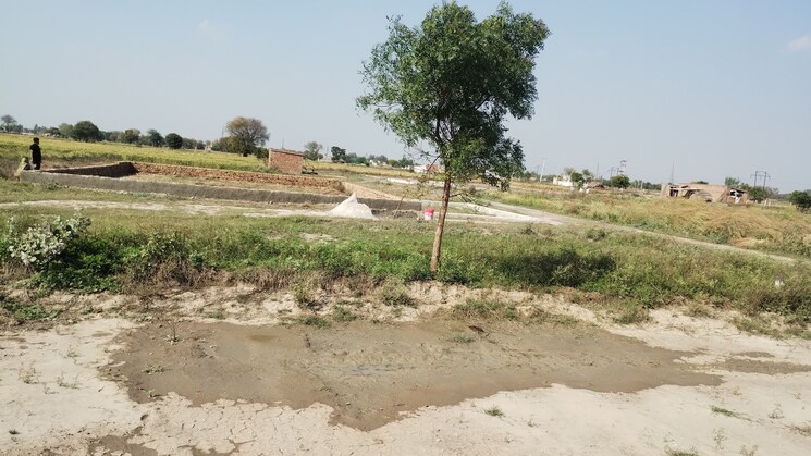 Exterior View, bamnikhera  430 Sq.Yd. Plot In Bamnikhera Palwal 8376808