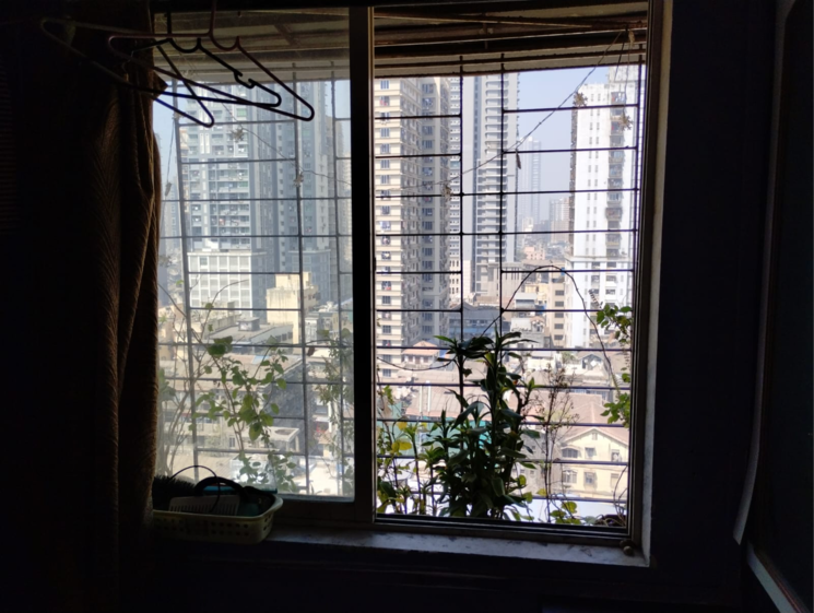 Room, bhuleshwar 1 Bedroom 265 Sq.Ft. Apartment In Bhuleshwar Mumbai 8376938