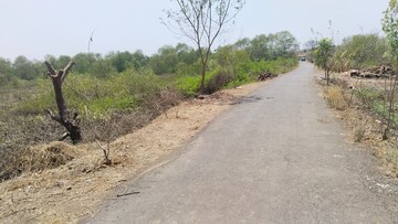 Plot – Exterior View View at Sonkhar - for Sale