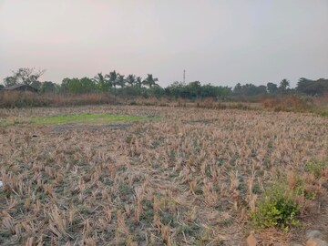  Plot – Exterior View View at Sonkhar - for Sale