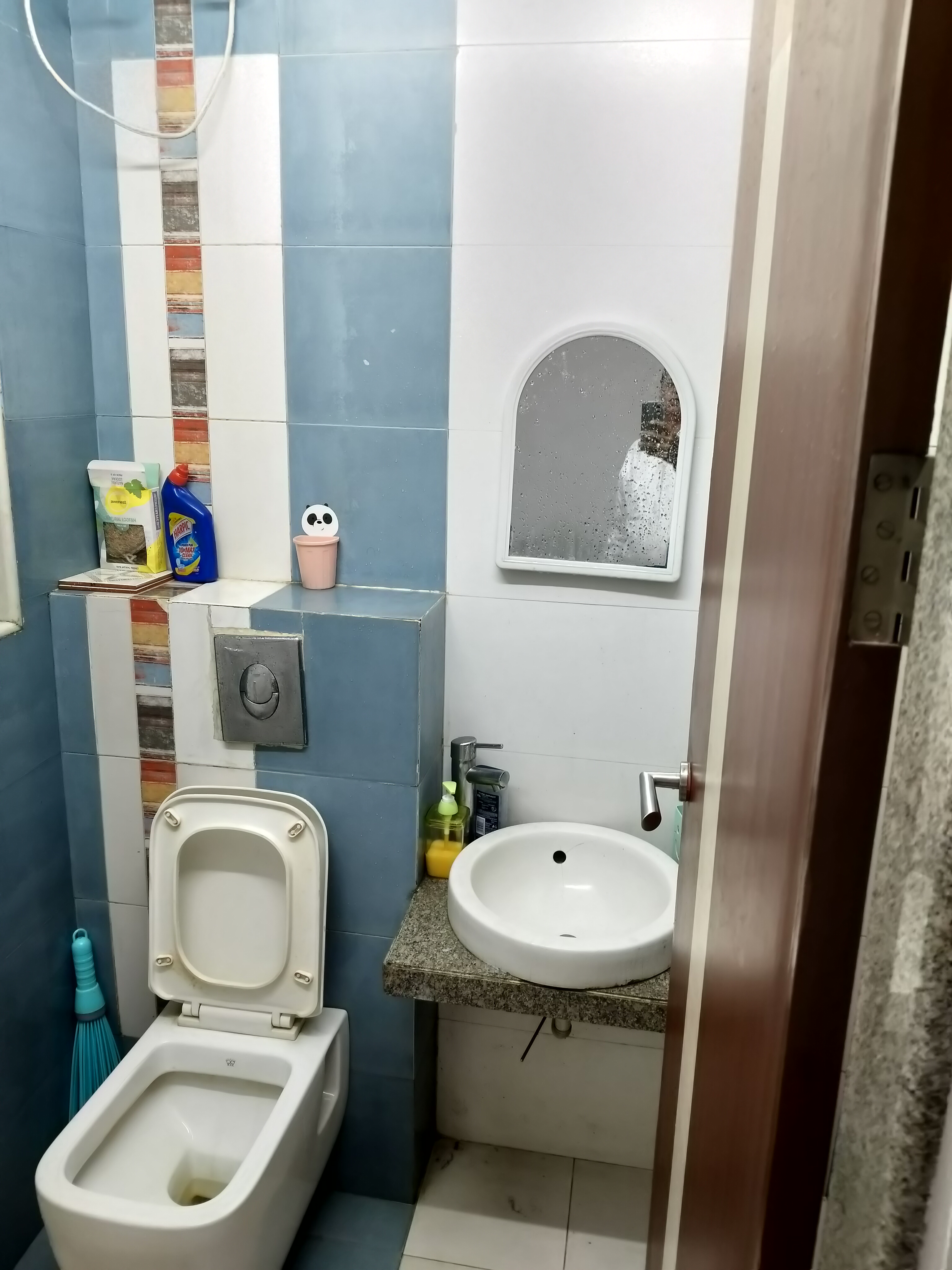 3 BHK Apartment For Rent in Concret Sai Saakshaat