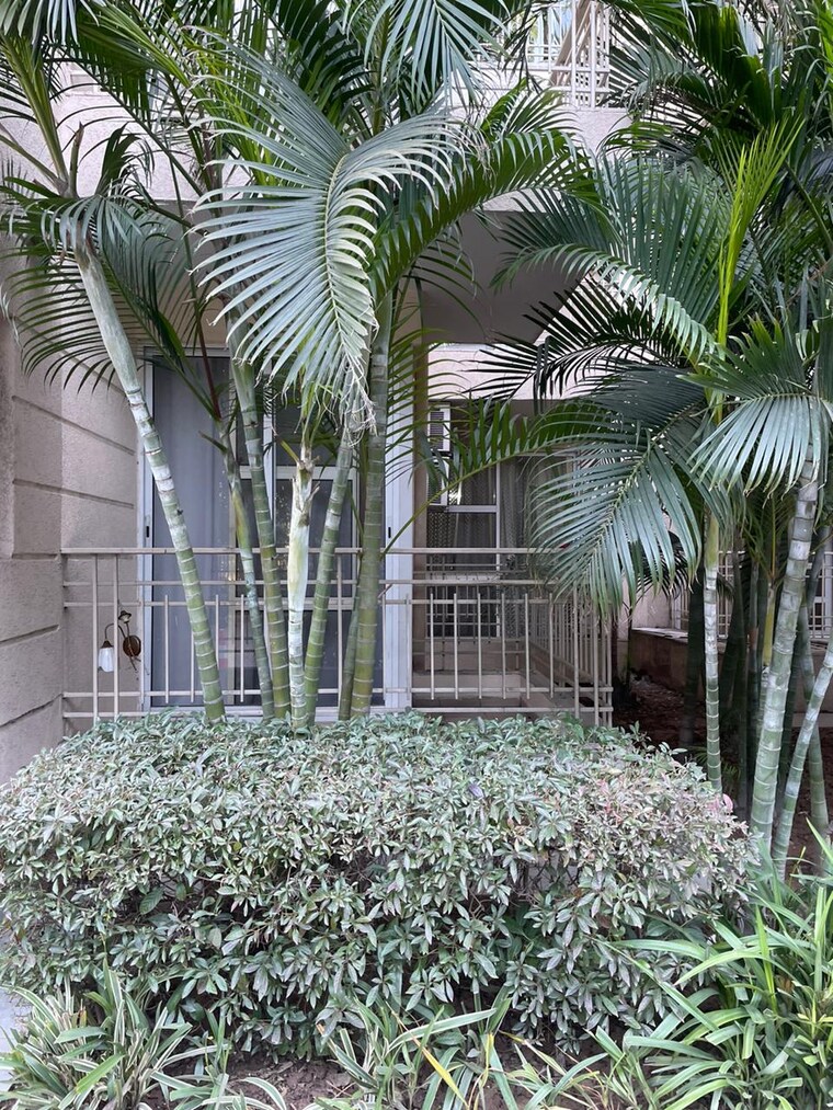 Exterior View, sector 66 3 Bedroom 1900 Sq.Ft. Apartment In Sector 66 Mohali 8378977