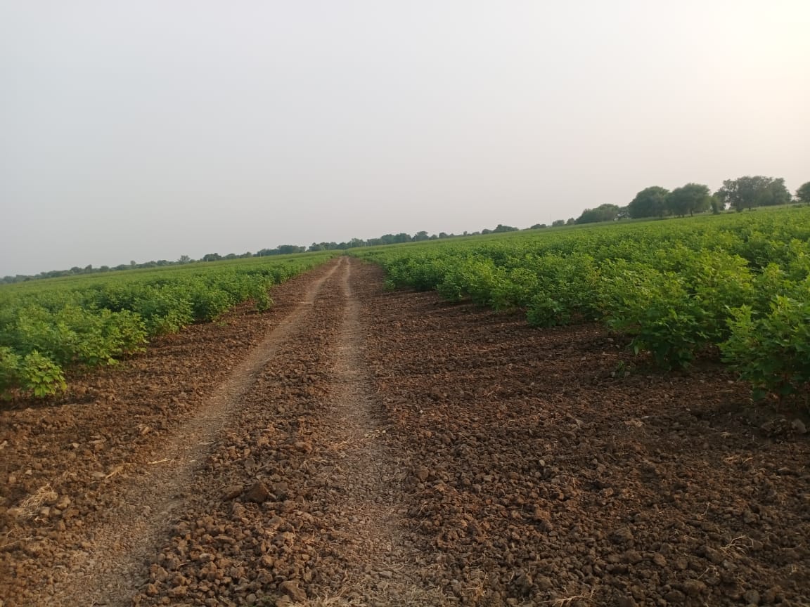 Land For Sale in Residential Scheme Plot
t