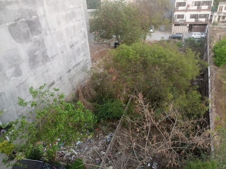 Garden, sarin-farm-chs  300 Sq.Yd. Plot In Habibpur Greater Noida 8379545