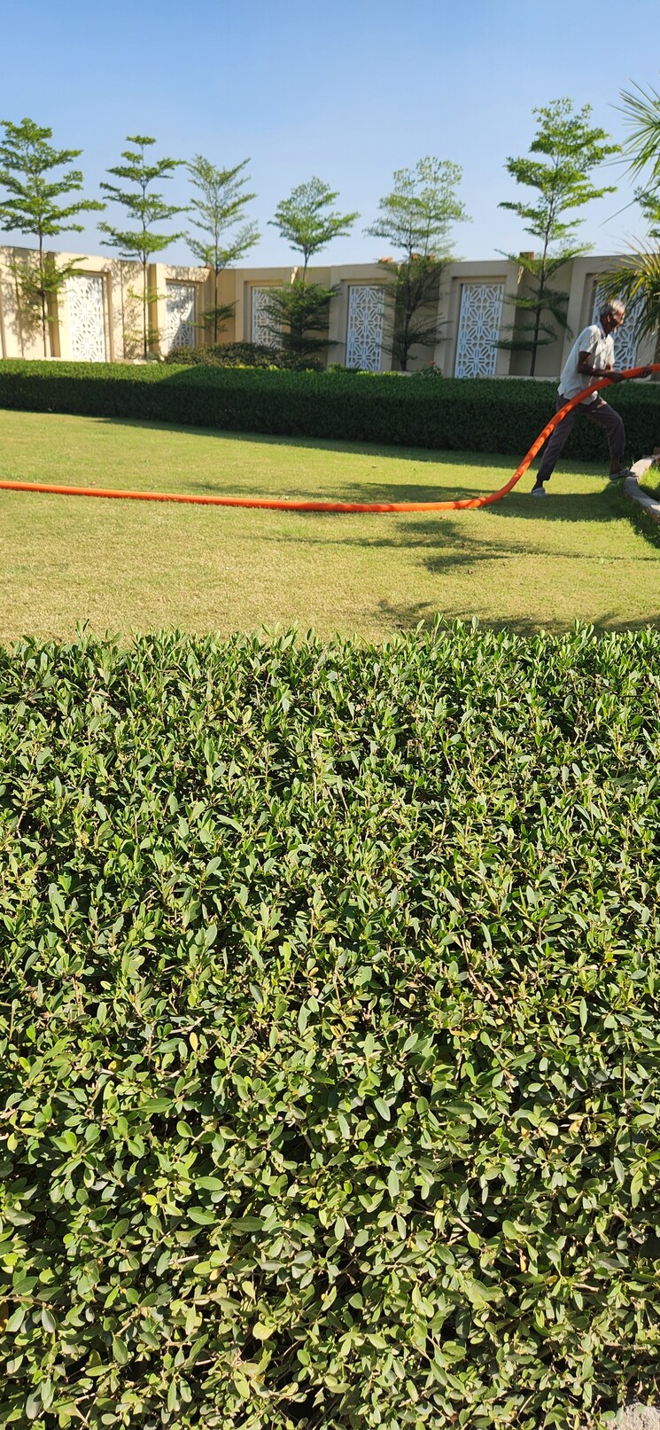 undefined, jms-mega-city  124 Sq.Yd. Plot In Sohna Sector 5 Gurgaon 8379657