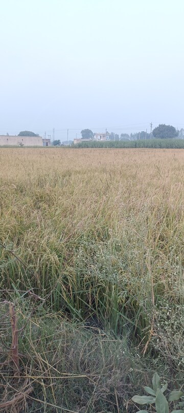  Land – Exterior View View at Assandh - for Sale