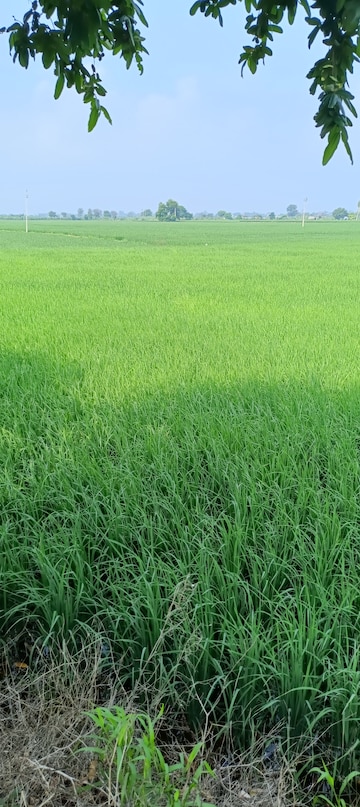  Land – Exterior View View at Samalkha - for Sale