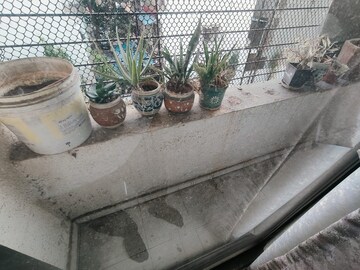 Balcony in 1 BHK Apartment at Ghansoli – for Rent