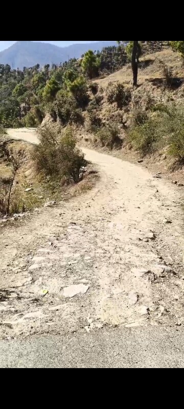  Land – Exterior View View at Mukteshwar - for Sale