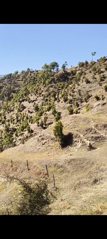  Land – Exterior View View at Mukteshwar - for Sale