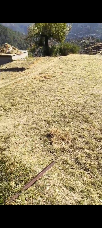  Land – Garden View at Mukteshwar - for Sale