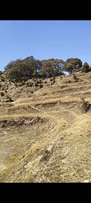  Land – Exterior View View at Mukteshwar - for Sale