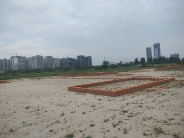  Plot For Sale in Sector 137