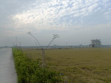  Plot For Sale in Jewar
