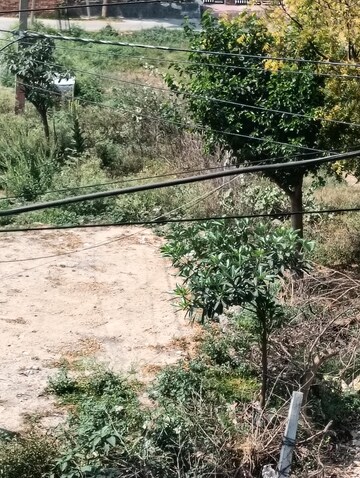 Plot Area in  Plot at Sector 33 – for Sale