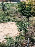 4 Acre Land in Bhatgaon Industrial Area 